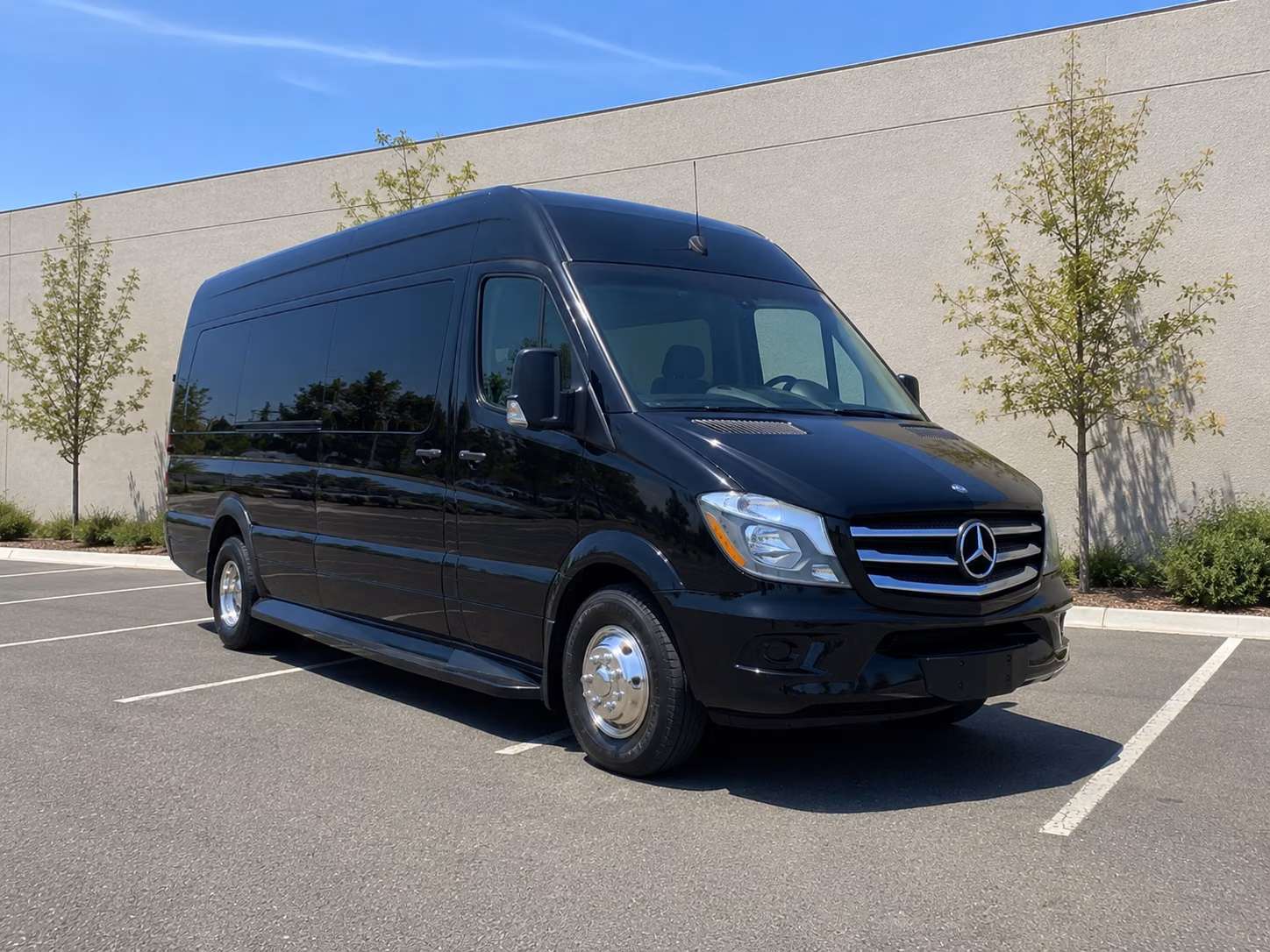 find the perfect transportation for your next birthday 4